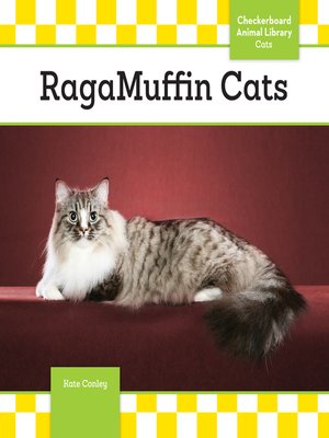 cover image of RagaMuffin Cats